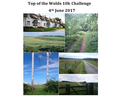 Top of the Wolds